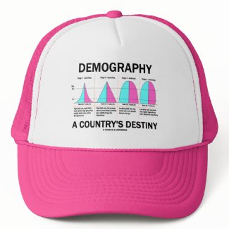 Demography A Country's Destiny (Four Stages) hat