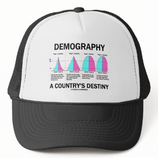 Demography A Country's Destiny (Four Stages) hat