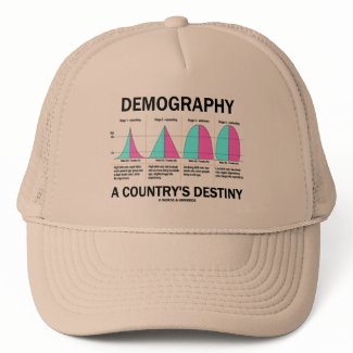 Demography A Country's Destiny (Four Stages) hat