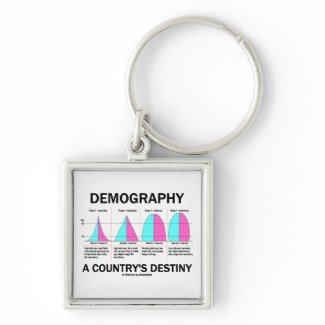 Demography A Country's Destiny (Four Stages) keychain