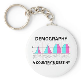 Demography A Country's Destiny (Four Stages) keychain