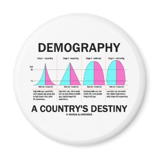 Demography A Country's Destiny (Four Stages) magnet