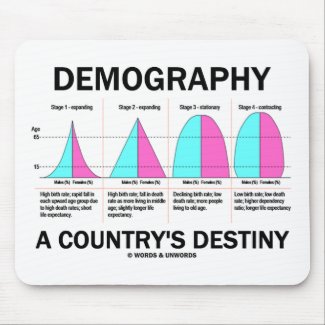 Demography A Country's Destiny (Four Stages) mousepad