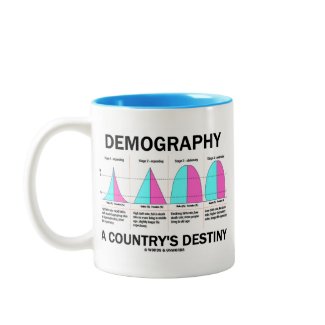 Demography A Country's Destiny (Four Stages) mug