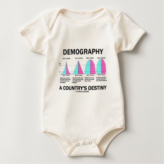 Demography A Country's Destiny (Four Stages) shirt