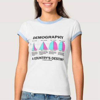 Demography A Country's Destiny (Four Stages) shirt