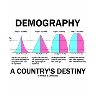 Demography A Country's Destiny (Four Stages) shirt