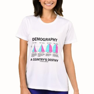Demography A Country's Destiny (Four Stages) shirt