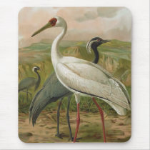 Demoiselle and Siberian Cranes mousepads