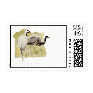 Demoiselle Cranes stamp