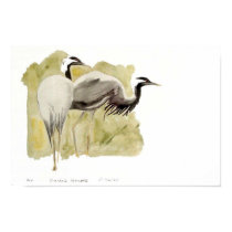 Demoiselle Cranes posters