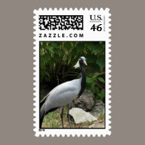 Demoselle Crane postage by Jack_of_Arts Demoselle Crane postage