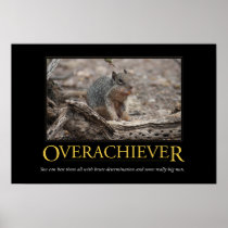 Demotivational Poster: Overachiever