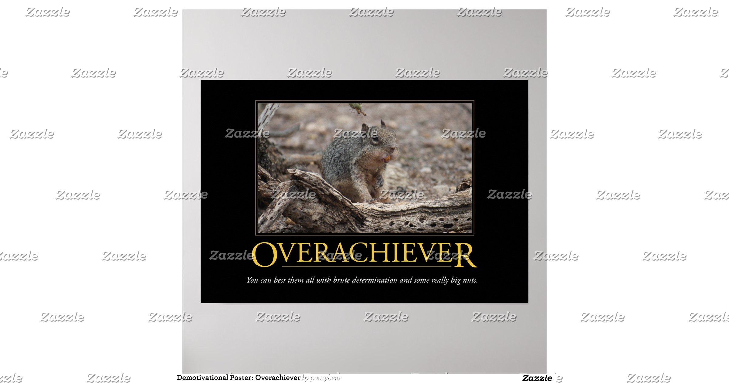 Demotivational Poster: Overachiever | Zazzle