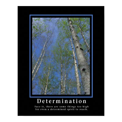 Demotivational Posters ... Determination by sofakingsmart