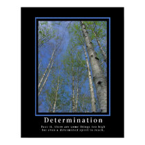 Demotivational Posters ... Determination posters by sofakingsmart Demotivational Posters ... Determination posters