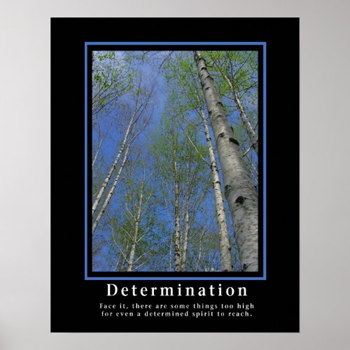 Demotivational Posters ... Determination print