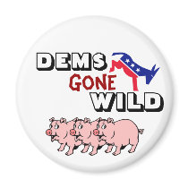 DEMS Gone Wild magnets