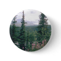 Denali- Alaska buttons