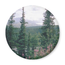 Denali -Alaska Fridge Magnet