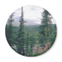 Denali -Alaska magnets by quetzal323 Denali -Alaska magnets
