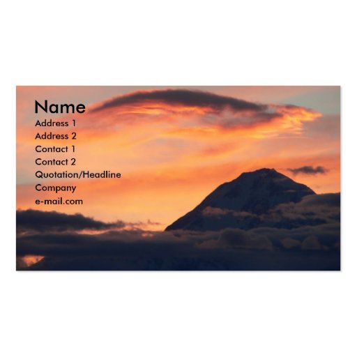 Denali at Midnight Profile Card Business Card (front side)