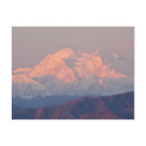 Denali at Sunrise Postcard