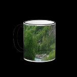 Denali Express Mug
