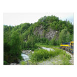 Denali Express Photo Print