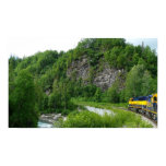 Denali Express Print