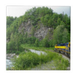 Denali Express Tile