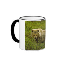Denali Grizzly Coffee Mugs