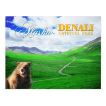 Denali National Park, Alaska Postcard