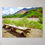 Denali National Park, Alaska Poster