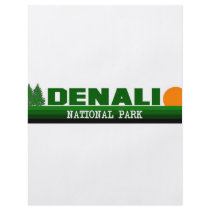 Denali National Park flyers