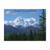 Denali National Park PostCard