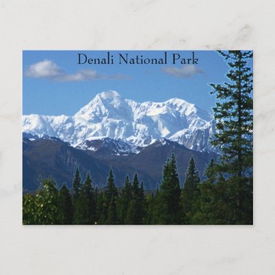 Denali National Park PostCard