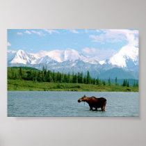 Denali National Park Print