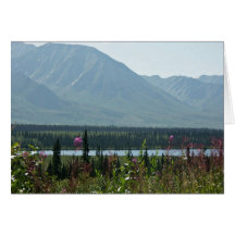 Denali Park Card