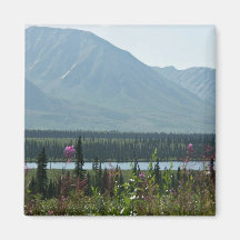 Denali Park Magnets