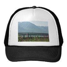 Denali Park Mesh Hats