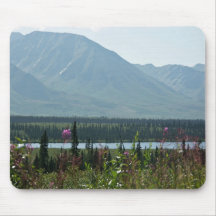 Denali Park Mouse Pad