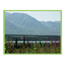 Denali Park Postcard