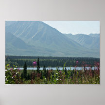 Denali Park Posters