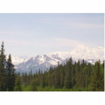 Denali photo sculptures by 1coolAkn Denali photo sculptures