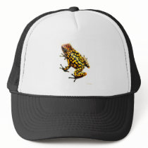 Dendrobates Imitator Poison Frog hats