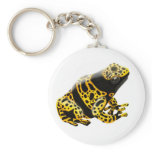 Dendrobates Leucomelas Poison Frog Keychain