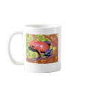 Dendrobates pumilio - Strawberry Poison Dart Frog tassen