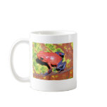 Dendrobates pumilio - Strawberry Poison Dart Frog Mug