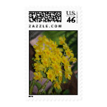 Dendrobium lindleyi Steud Postage Stamp